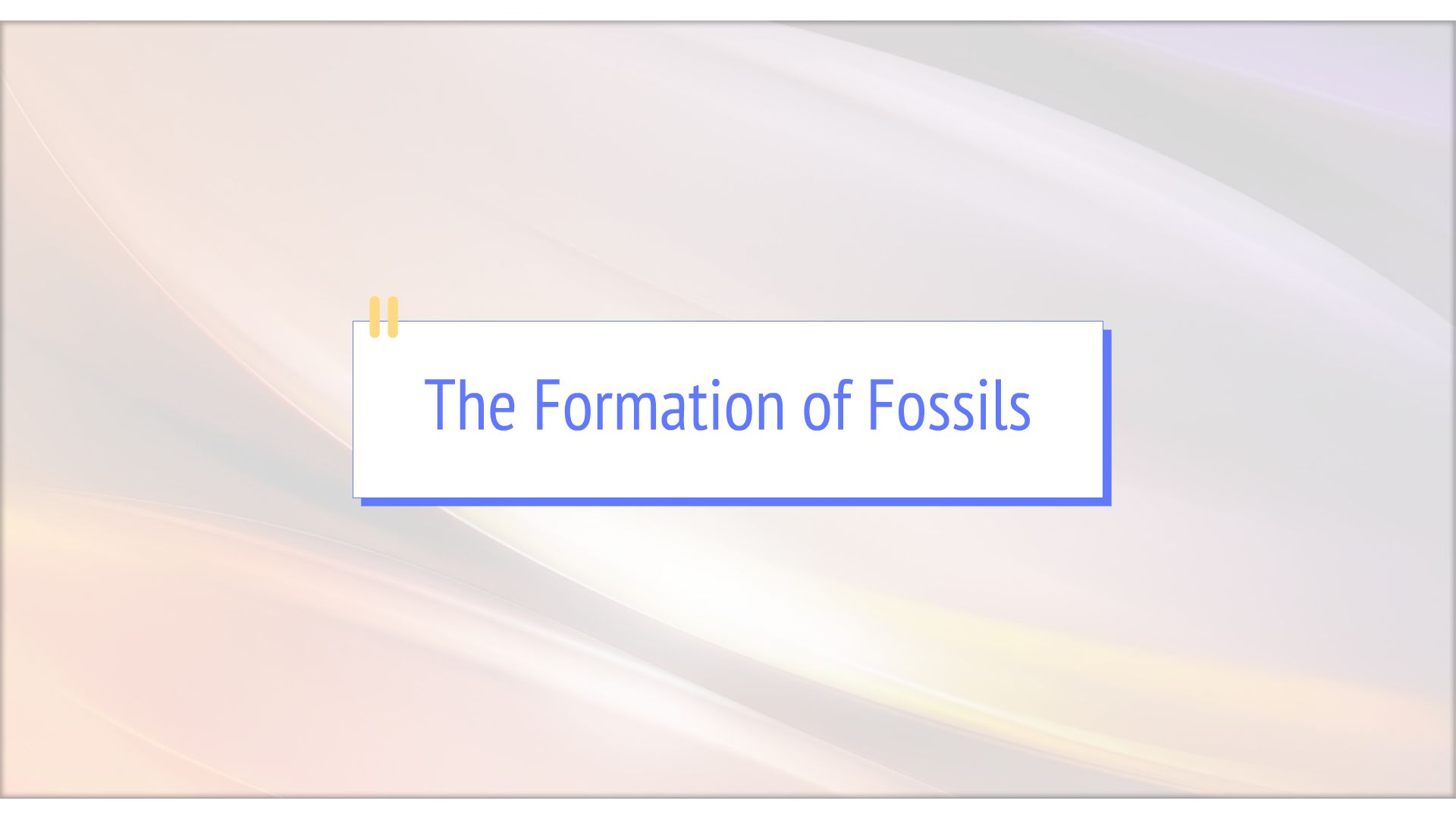 The Formation of Fossils. Animated Video By Animated_Maestro Mango