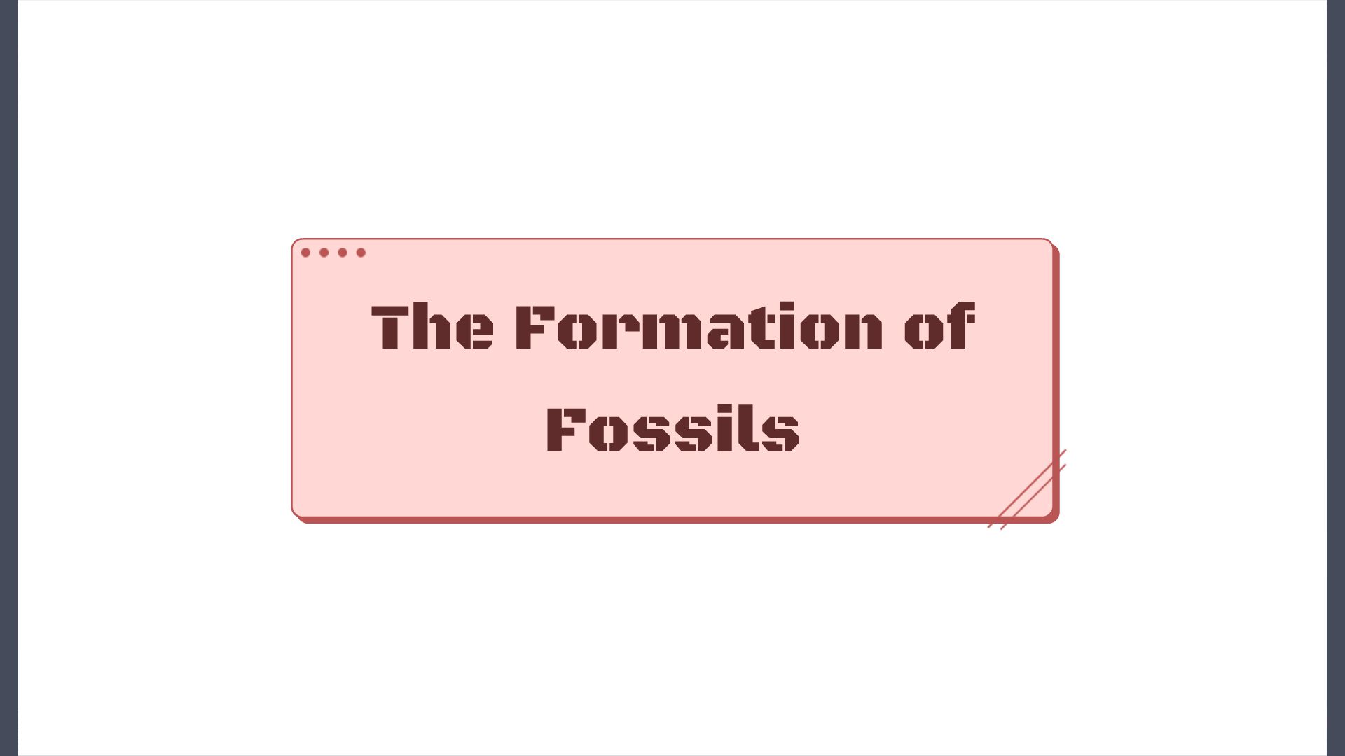 The Formation of Fossils Animated Video By Animation_Expert Mango