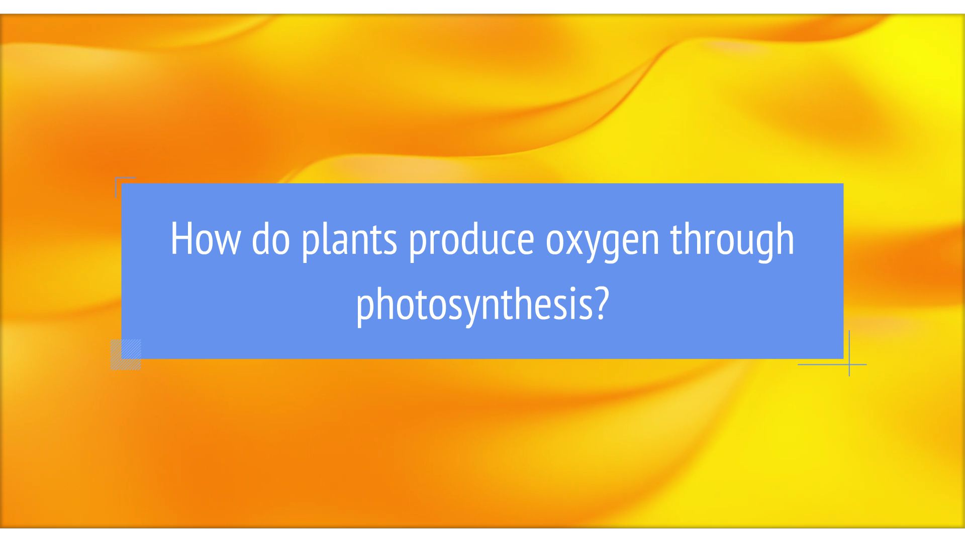 How do plants produce oxygen through photosynthesis? Animated Video