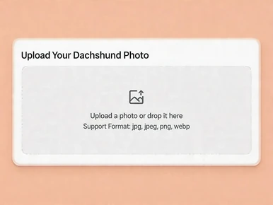 Start the flow from the uploaded Dachshund photo