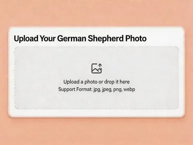 Add your German Shepherd still as the frame the animation builds from
