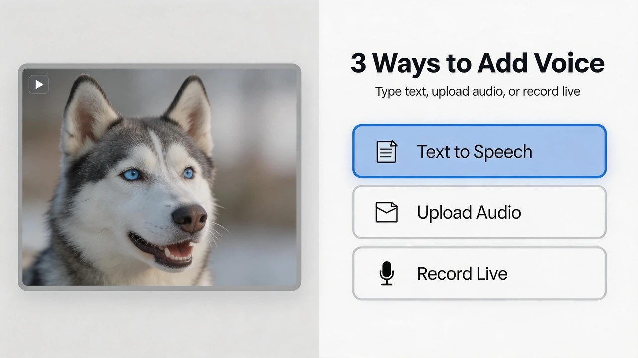 Add a voice to a husky still with text to speech or file or mic