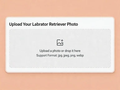 Upload a Labrador Retriever photo to create a talking video with Mango AI
