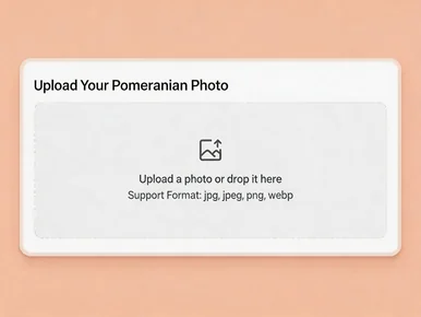 Upload a Pomeranian photo as the source image